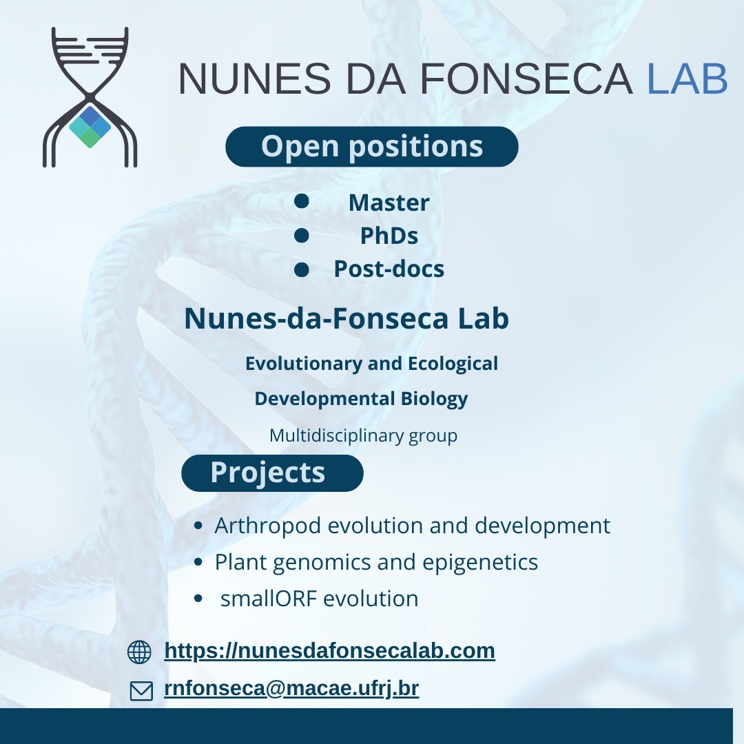 Read more about the article Open Positions in Nunes-da-Fonseca Lab