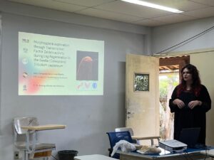 Read more about the article Fernanda ribeiro Seminar