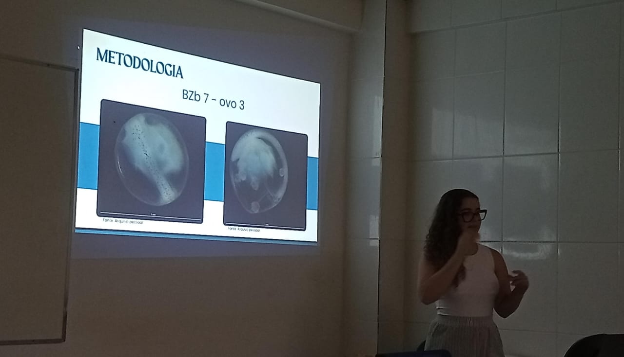 Read more about the article Maria Muylaert Seminar