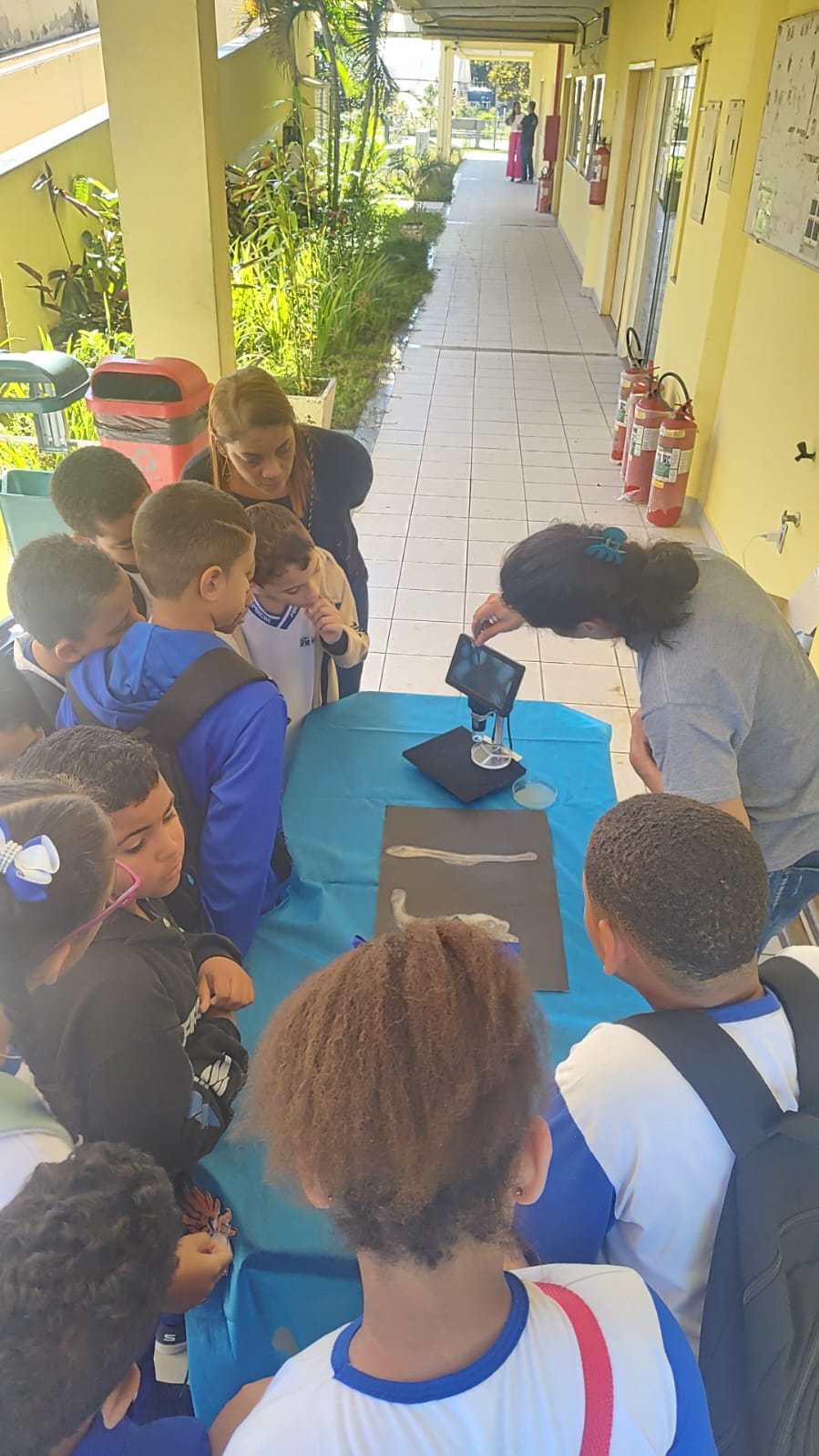 Read more about the article Nunes da Fonseca Lab at “Dia Mundial dos Oceanos” (DMO) at Nupem UFRJ